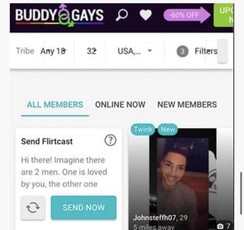 Buddygays profile